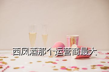 西凤酒那个运营商最大