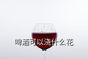 啤酒可以浇什么花