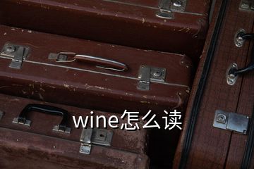 wine怎么读