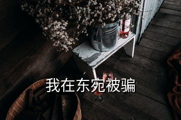 我在东宛被骗