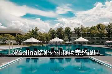 求Selina结婚婚礼现场完整视屏