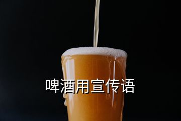 啤酒用宣传语