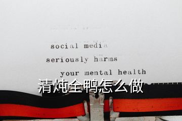 清炖全鸭怎么做