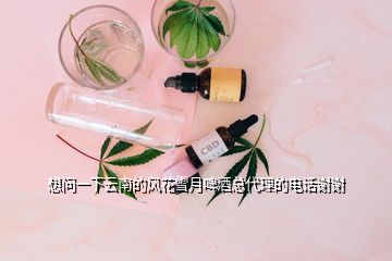 想问一下云南的风花雪月啤酒总代理的电话谢谢