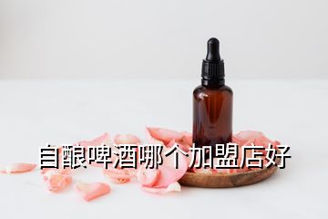 自酿啤酒哪个加盟店好