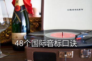 48个国际音标口诀