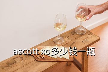 ascott xo多少钱一瓶