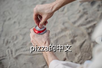 pizza的中文