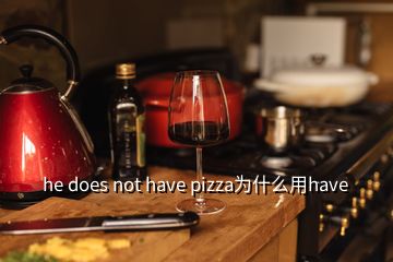 he does not have pizza为什么用have