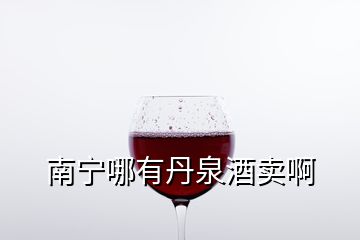 南宁哪有丹泉酒卖啊