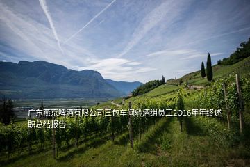 广东燕京啤酒有限公司三包车间验酒组员工2O16年年终述职总结报告