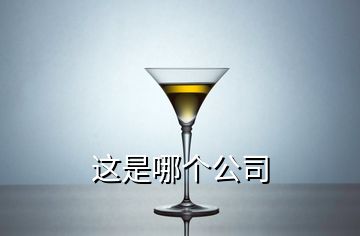 这是哪个公司