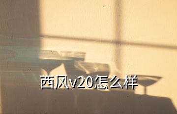 西风v20怎么样