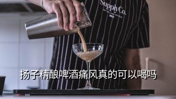 扬子精酿啤酒痛风真的可以喝吗