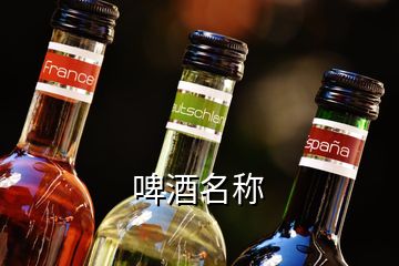 啤酒名称