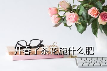 开春了茶花施什么肥