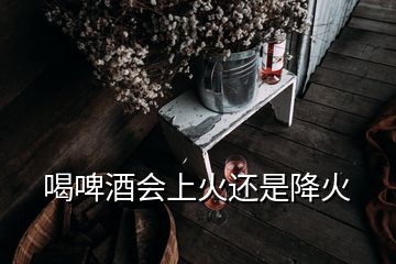 喝啤酒会上火还是降火