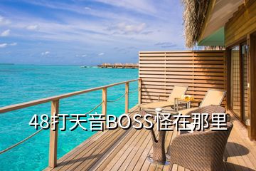 48打天音BOSS怪在那里