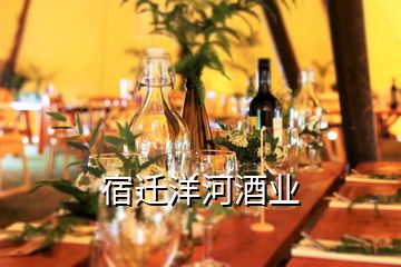 宿迁洋河酒业