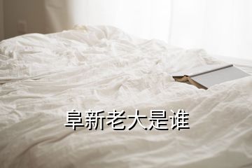 阜新老大是谁