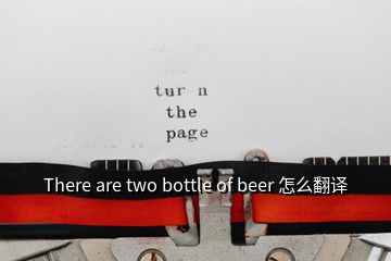 There are two bottle of beer 怎么翻译