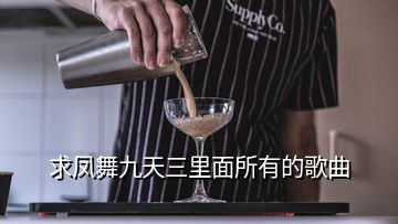 求凤舞九天三里面所有的歌曲