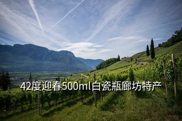 42度迎春500ml白瓷瓶廊坊特产