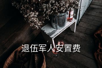 退伍军人安置费