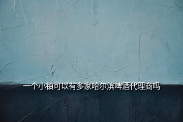 一个小镇可以有多家哈尔滨啤酒代理商吗