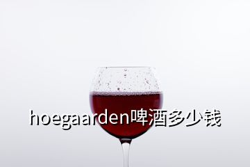 hoegaarden啤酒多少钱