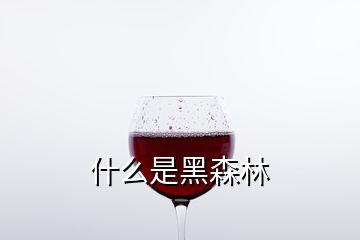 什么是黑森林