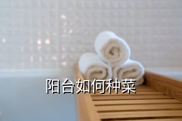 阳台如何种菜