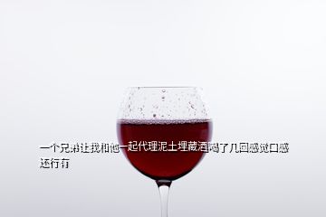 一个兄弟让我和他一起代理泥土埋藏酒喝了几回感觉口感还行有