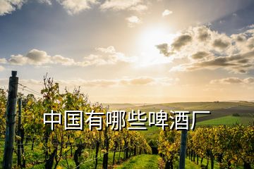 中国有哪些啤酒厂