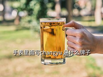 手表里面写changyu 是什么牌子