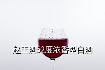 赵王酒52度浓香型白酒