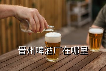 晋州啤酒厂在哪里