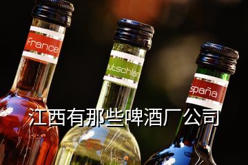 江西有那些啤酒厂公司