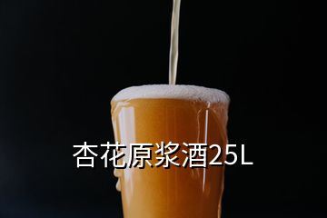 杏花原浆酒25L