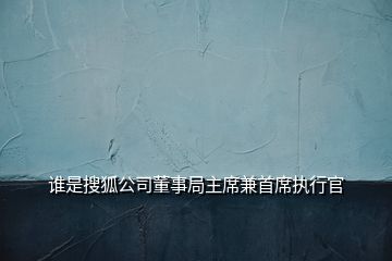 谁是搜狐公司董事局主席兼首席执行官