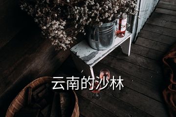 云南的沙林