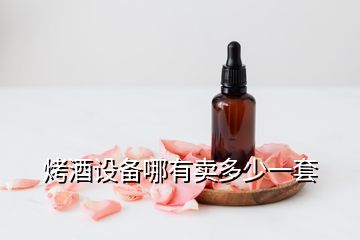 烤酒设备哪有卖多少一套