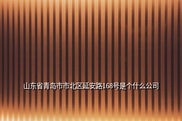 山东省青岛市市北区延安路168号是个什么公司