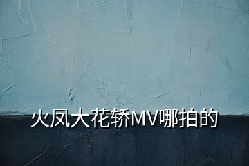 火凤大花轿MV哪拍的