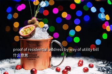 proof of residential address by way of utility bill什么意思