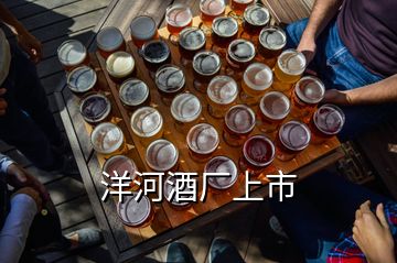 洋河酒厂上市