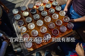 宜宾五粮液酒厂分厂到底有那些