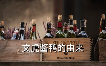 文虎酱鸭的由来