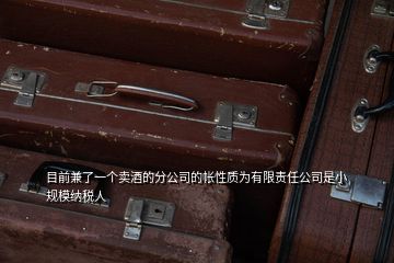 目前兼了一个卖酒的分公司的帐性质为有限责任公司是小规模纳税人