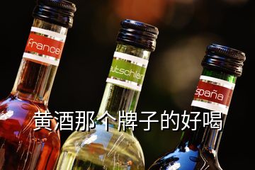 黄酒那个牌子的好喝